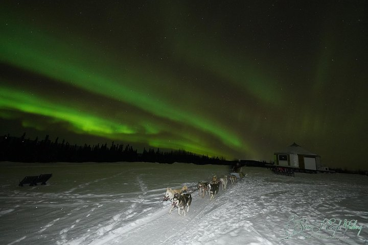 Northern Lights Viewing including Dinner and Dog Sledding - Photo 1 of 6